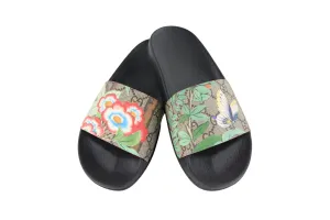 Tian Pursuit Canvas Slides